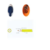 Sonde Redox pour Melcube